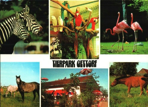 Tierpark gettorf - tierpark,