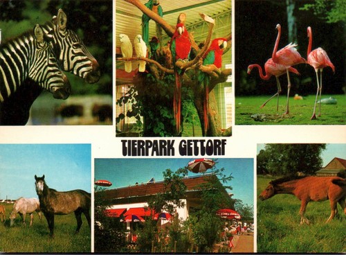 Gettorf cafe im tierpark - cafe,