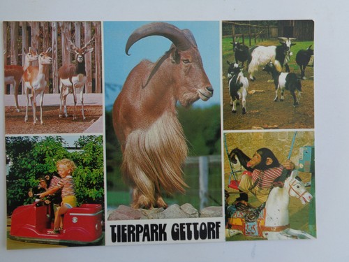 Postkarte ungelaufen - ak,