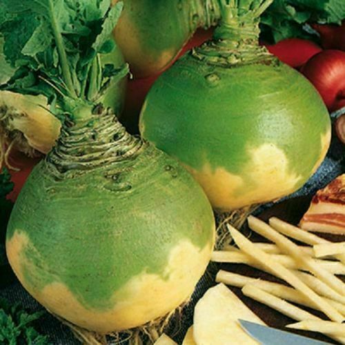 Wilhelmsburger rutabaga - wilhelmsburger,
